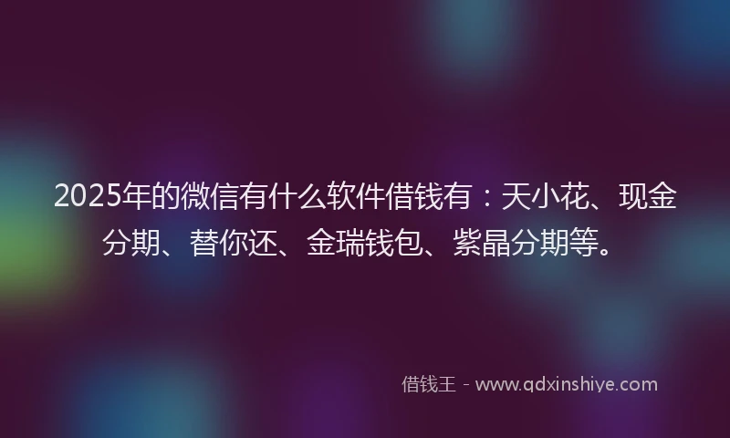 2025年的微信有什么软件借钱有：天小花、现金分期、替你还、金瑞钱包、紫晶分期等。