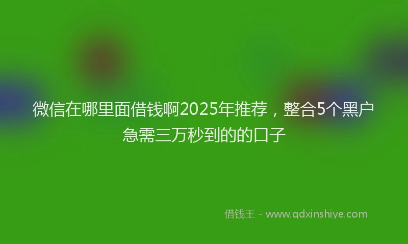 微信在哪里面借钱啊2025年推荐，整合5个黑户急需三万秒到的的口子