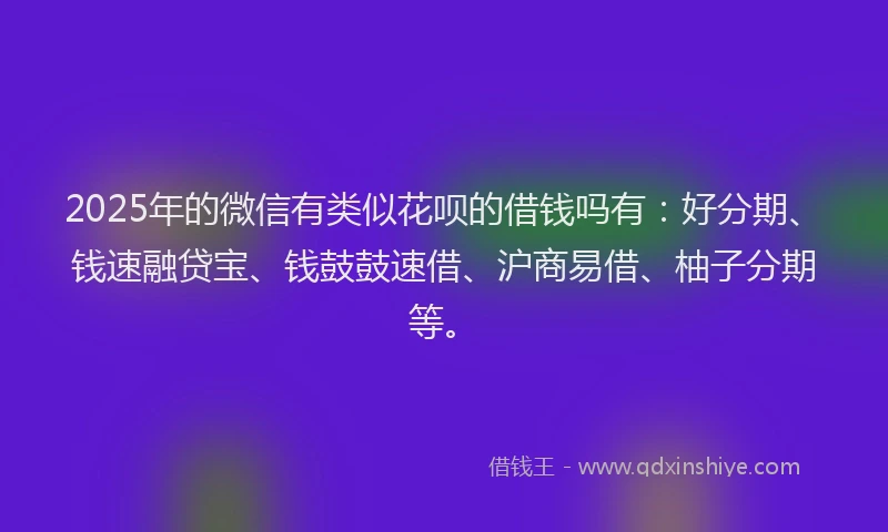 2025年的微信有类似花呗的借钱吗有：好分期、钱速融贷宝、钱鼓鼓速借、沪商易借、柚子分期等。
