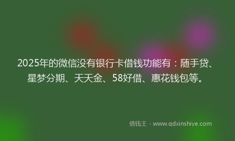 2025年的微信没有银行卡借钱功能有：随手贷、星梦分期、天天金、58好借、惠花钱包等。