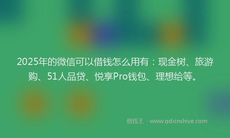 2025年的微信可以借钱怎么用有：现金树、旅游购、51人品贷、悦享Pro钱包、理想给等。