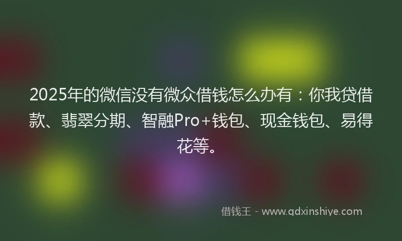 2025年的微信没有微众借钱怎么办有：你我贷借款、翡翠分期、智融Pro+钱包、现金钱包、易得花等。