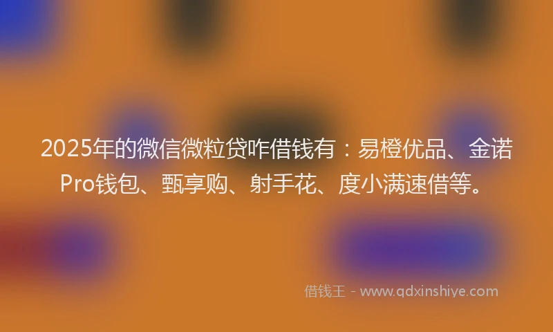 2025年的微信微粒贷咋借钱有：易橙优品、金诺Pro钱包、甄享购、射手花、度小满速借等。
