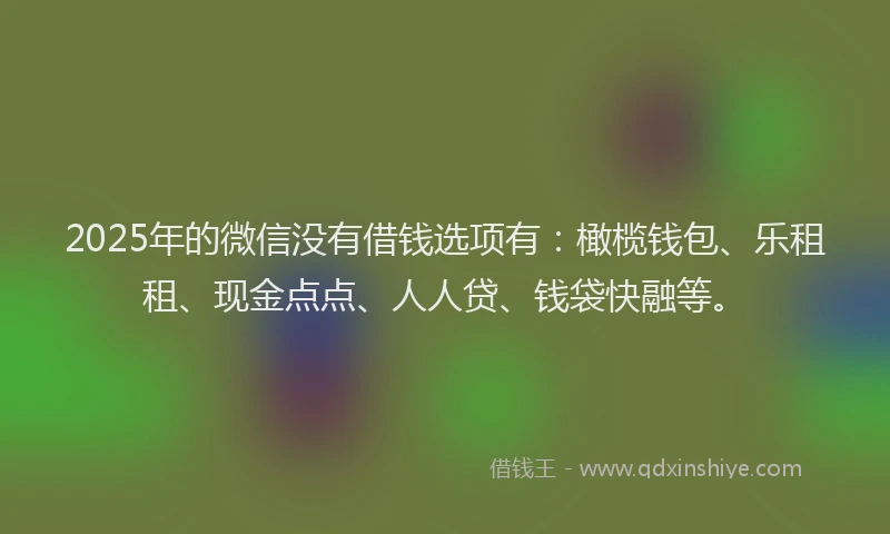 2025年的微信没有借钱选项有：橄榄钱包、乐租租、现金点点、人人贷、钱袋快融等。