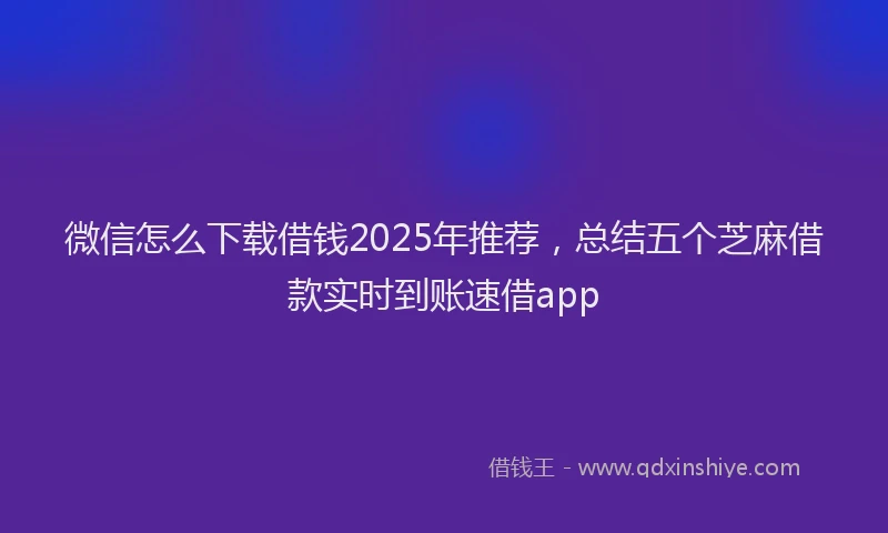 微信怎么下载借钱2025年推荐，总结五个芝麻借款实时到账速借app