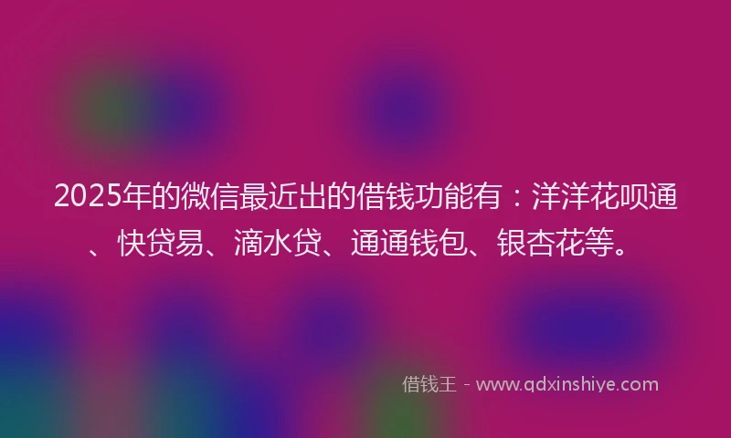 2025年的微信最近出的借钱功能有：洋洋花呗通、快贷易、滴水贷、通通钱包、银杏花等。