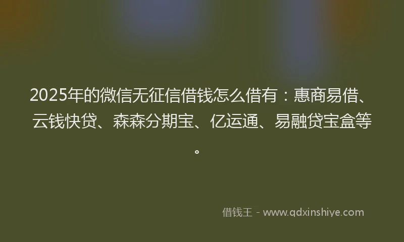 2025年的微信无征信借钱怎么借有：惠商易借、云钱快贷、森森分期宝、亿运通、易融贷宝盒等。