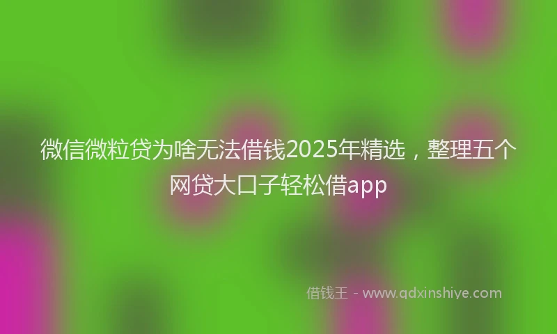 微信微粒贷为啥无法借钱2025年精选，整理五个网贷大口子轻松借app