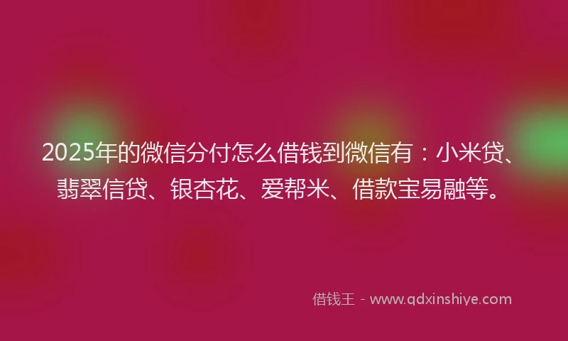 2025年的微信分付怎么借钱到微信有：小米贷、翡翠信贷、银杏花、爱帮米、借款宝易融等。