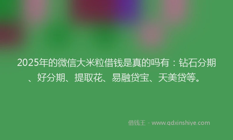 2025年的微信大米粒借钱是真的吗有：钻石分期、好分期、提取花、易融贷宝、天美贷等。