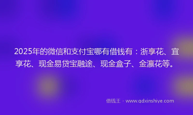 2025年的微信和支付宝哪有借钱有：浙享花、宜享花、现金易贷宝融途、现金盒子、金瀛花等。