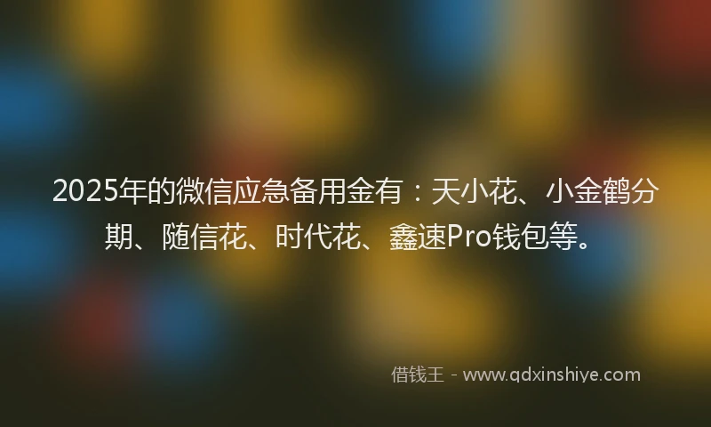 2025年的微信应急备用金有：天小花、小金鹤分期、随信花、时代花、鑫速Pro钱包等。