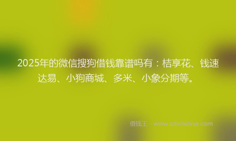 2025年的微信搜狗借钱靠谱吗有：桔享花、钱速达易、小狗商城、多米、小象分期等。