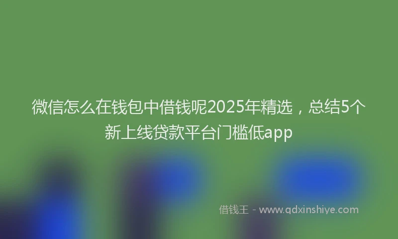 微信怎么在钱包中借钱呢2025年精选，总结5个新上线贷款平台门槛低app