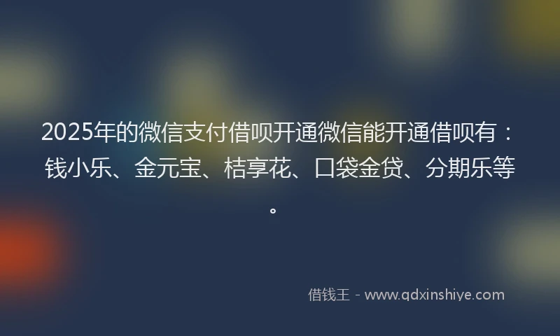 2025年的微信支付借呗开通微信能开通借呗有：钱小乐、金元宝、桔享花、口袋金贷、分期乐等。