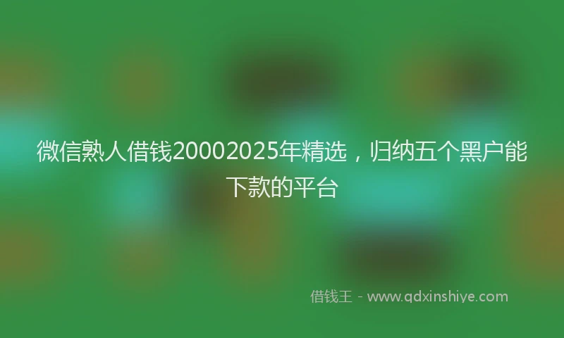 微信熟人借钱20002025年精选，归纳五个黑户能下款的平台