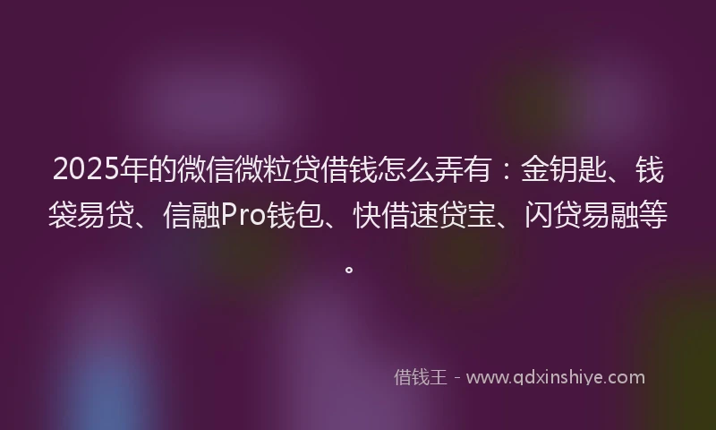 2025年的微信微粒贷借钱怎么弄有：金钥匙、钱袋易贷、信融Pro钱包、快借速贷宝、闪贷易融等。