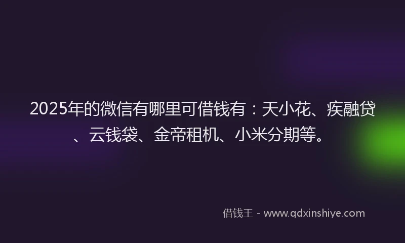 2025年的微信有哪里可借钱有：天小花、疾融贷、云钱袋、金帝租机、小米分期等。