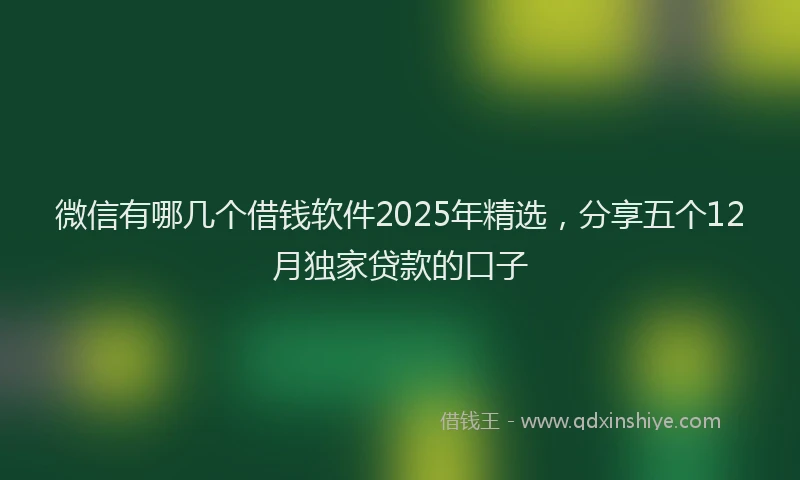 微信有哪几个借钱软件2025年精选，分享五个12月独家贷款的口子