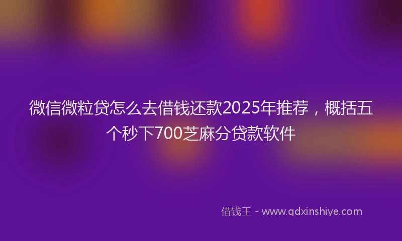 微信微粒贷怎么去借钱还款2025年推荐，概括五个秒下700芝麻分贷款软件