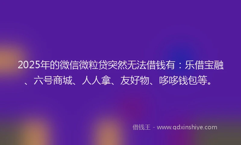 2025年的微信微粒贷突然无法借钱有：乐借宝融、六号商城、人人拿、友好物、哆哆钱包等。