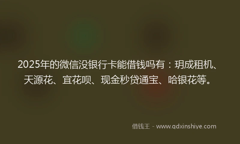 2025年的微信没银行卡能借钱吗有：玥成租机、天源花、宜花呗、现金秒贷通宝、哈银花等。