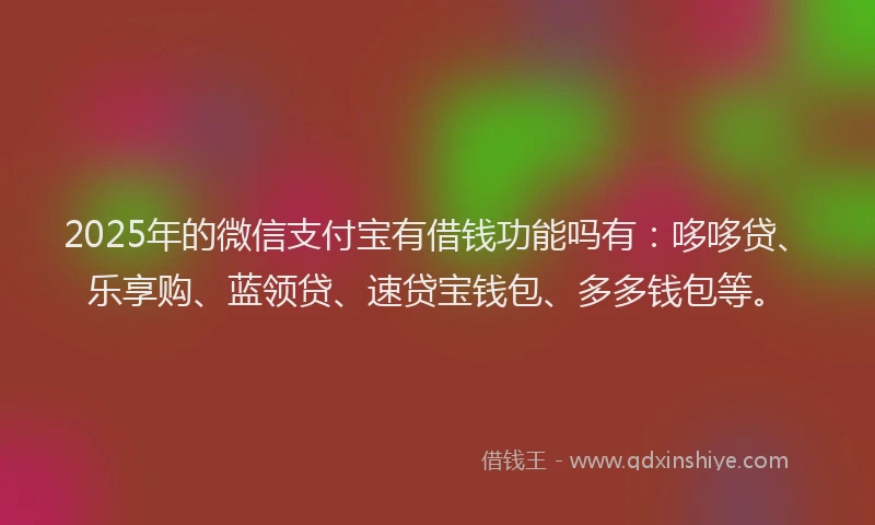 2025年的微信支付宝有借钱功能吗有：哆哆贷、乐享购、蓝领贷、速贷宝钱包、多多钱包等。