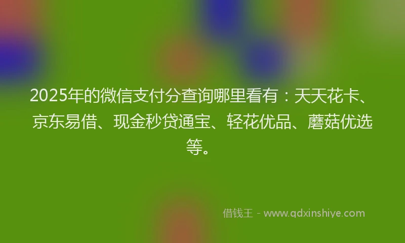 2025年的微信支付分查询哪里看有：天天花卡、京东易借、现金秒贷通宝、轻花优品、蘑菇优选等。