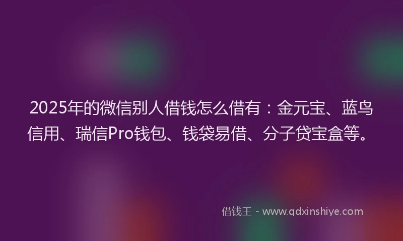 2025年的微信别人借钱怎么借有：金元宝、蓝鸟信用、瑞信Pro钱包、钱袋易借、分子贷宝盒等。