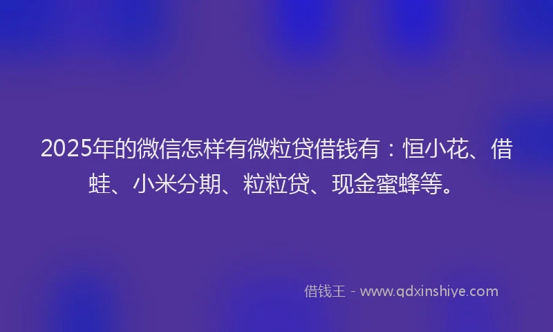 2025年的微信怎样有微粒贷借钱有：恒小花、借蛙、小米分期、粒粒贷、现金蜜蜂等。