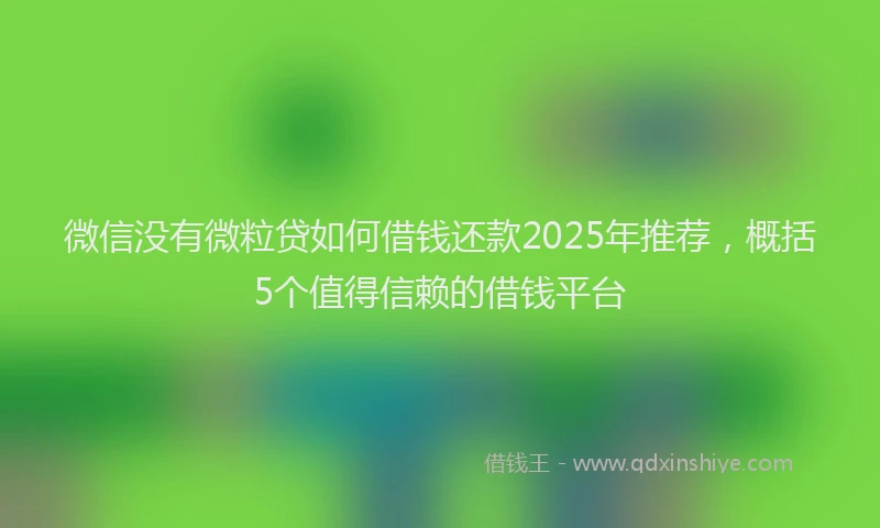 微信没有微粒贷如何借钱还款2025年推荐，概括5个值得信赖的借钱平台