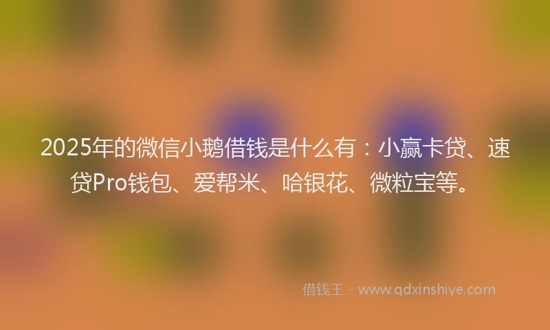 2025年的微信小鹅借钱是什么有：小赢卡贷、速贷Pro钱包、爱帮米、哈银花、微粒宝等。
