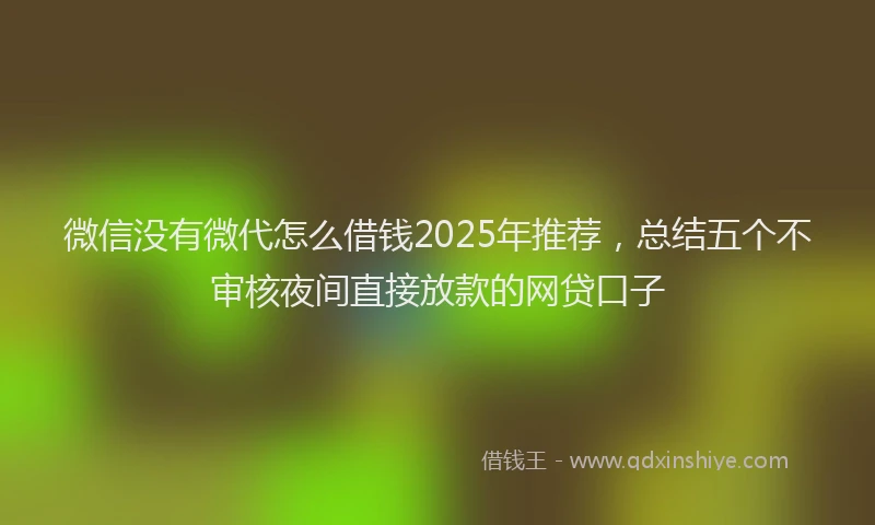 微信没有微代怎么借钱2025年推荐，总结五个不审核夜间直接放款的网贷口子