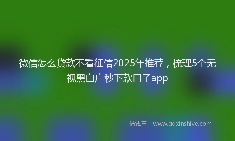 微信怎么贷款不看征信2025年推荐，梳理5个无视黑白户秒下款口子app