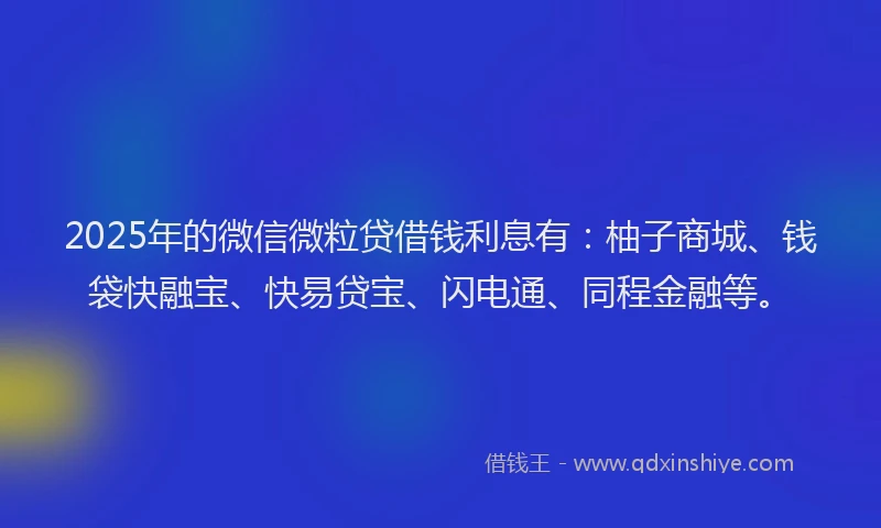 2025年的微信微粒贷借钱利息有：柚子商城、钱袋快融宝、快易贷宝、闪电通、同程金融等。
