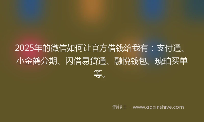 2025年的微信如何让官方借钱给我有：支付通、小金鹤分期、闪借易贷通、融悦钱包、琥珀买单等。