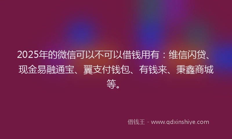 2025年的微信可以不可以借钱用有：维信闪贷、现金易融通宝、翼支付钱包、有钱来、秉鑫商城等。