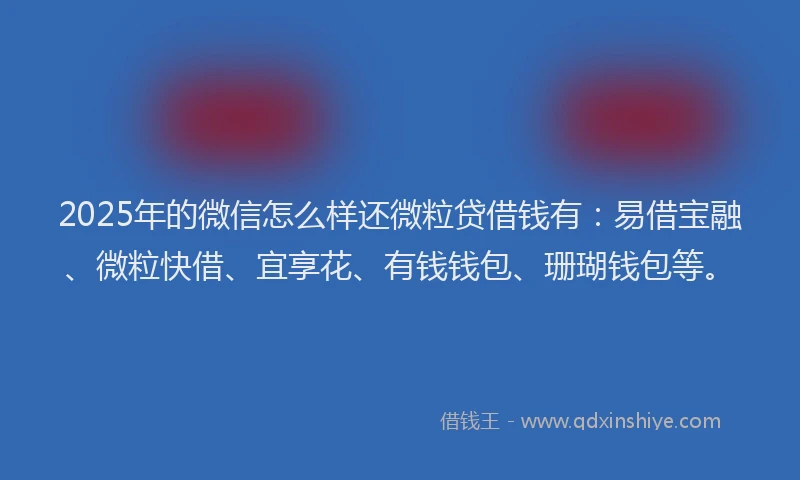 2025年的微信怎么样还微粒贷借钱有：易借宝融、微粒快借、宜享花、有钱钱包、珊瑚钱包等。