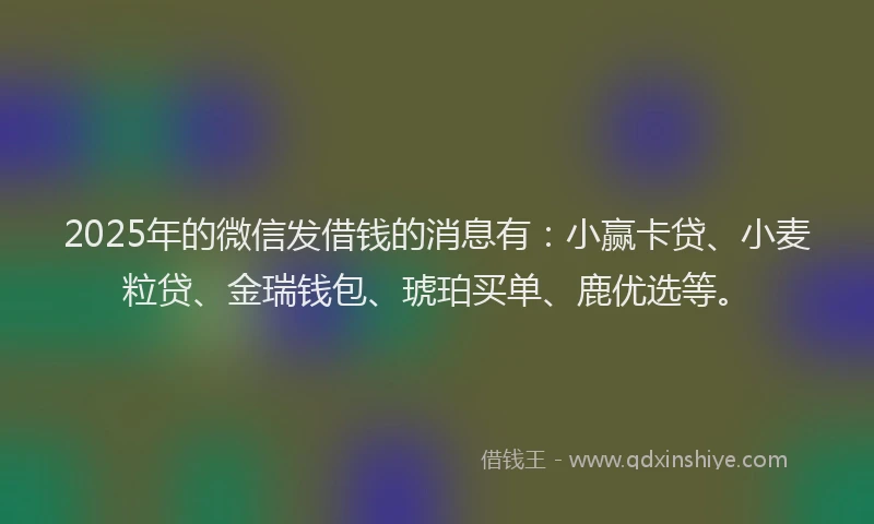 2025年的微信发借钱的消息有：小赢卡贷、小麦粒贷、金瑞钱包、琥珀买单、鹿优选等。