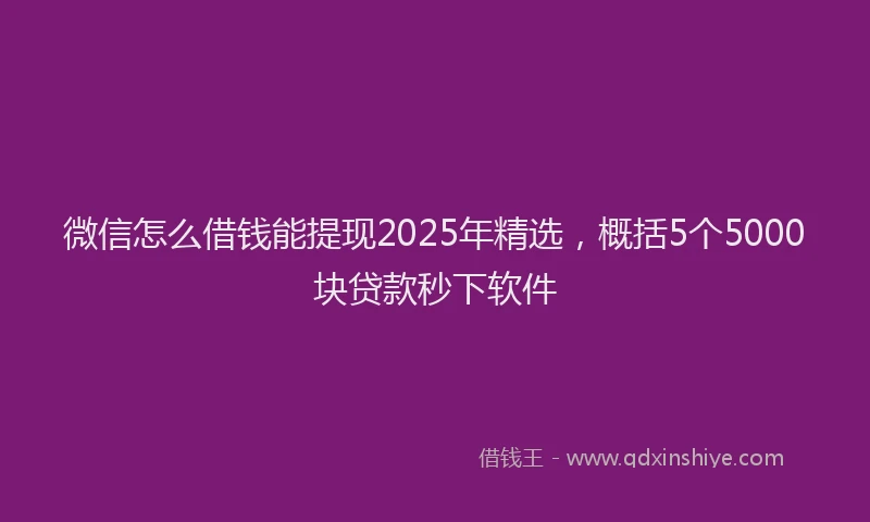 微信怎么借钱能提现2025年精选，概括5个5000块贷款秒下软件