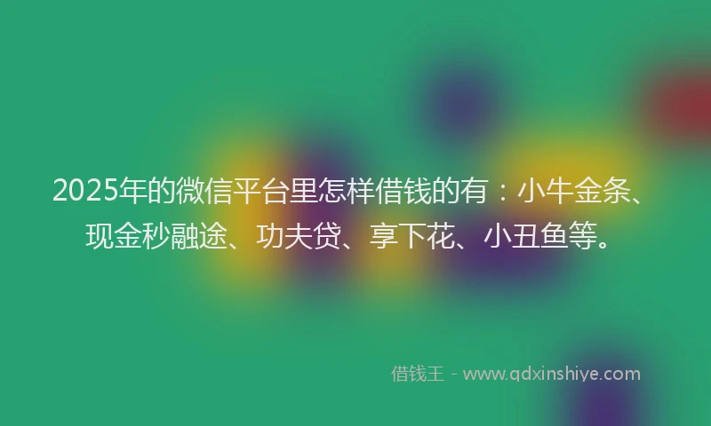 2025年的微信平台里怎样借钱的有：小牛金条、现金秒融途、功夫贷、享下花、小丑鱼等。
