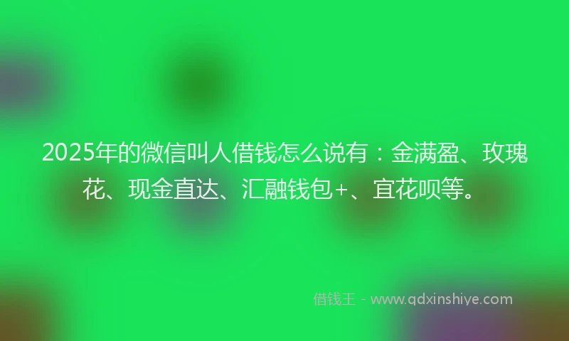 2025年的微信叫人借钱怎么说有：金满盈、玫瑰花、现金直达、汇融钱包+、宜花呗等。