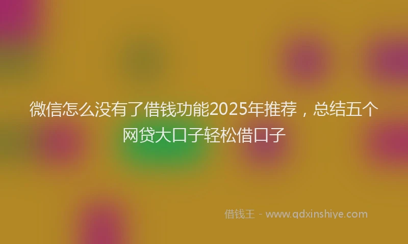 微信怎么没有了借钱功能2025年推荐，总结五个网贷大口子轻松借口子