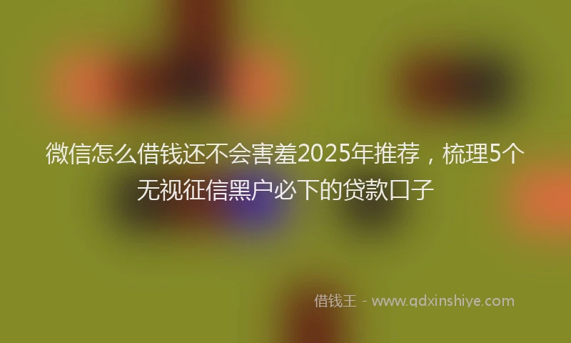 微信怎么借钱还不会害羞2025年推荐，梳理5个无视征信黑户必下的贷款口子