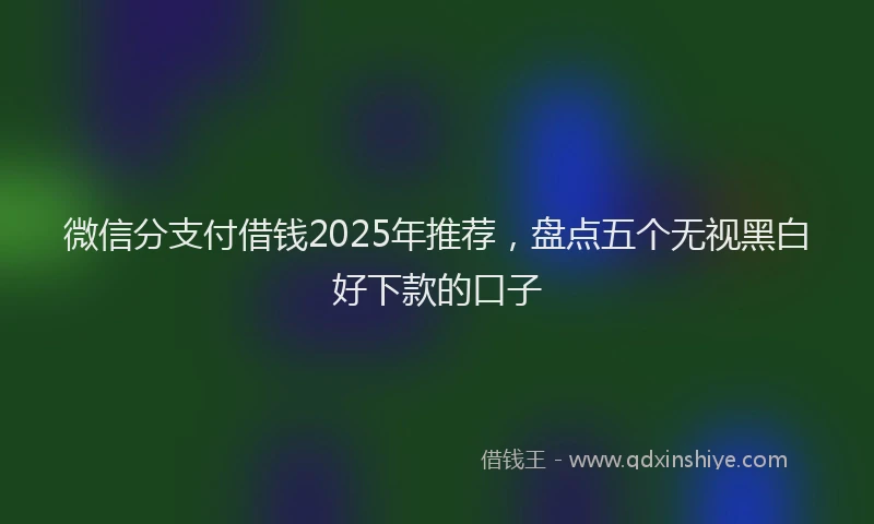 微信分支付借钱2025年推荐，盘点五个无视黑白好下款的口子