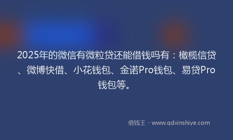 2025年的微信有微粒贷还能借钱吗有：橄榄信贷、微博快借、小花钱包、金诺Pro钱包、易贷Pro钱包等。