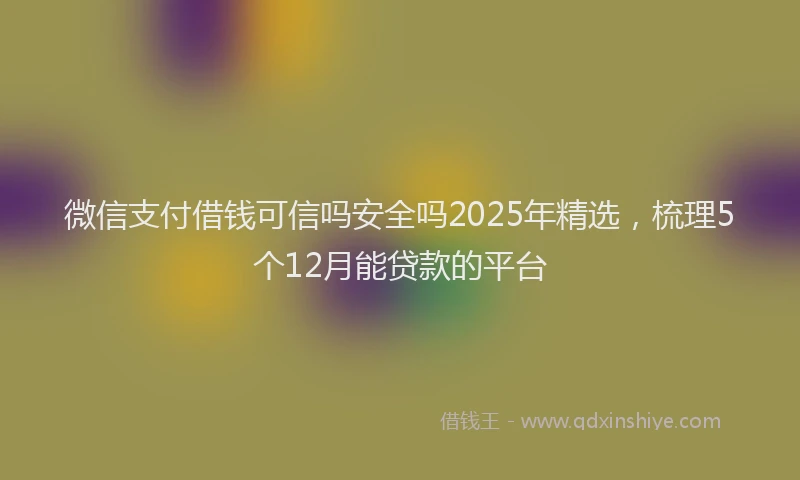 微信支付借钱可信吗安全吗2025年精选，梳理5个12月能贷款的平台