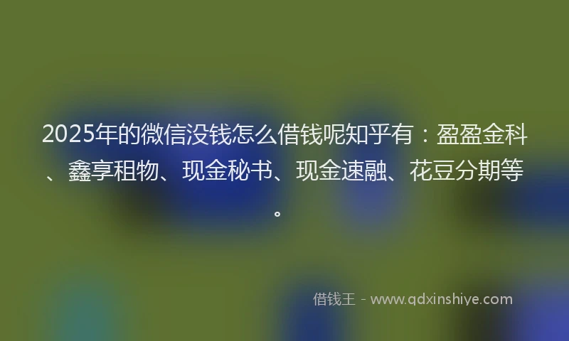 2025年的微信没钱怎么借钱呢知乎有：盈盈金科、鑫享租物、现金秘书、现金速融、花豆分期等。