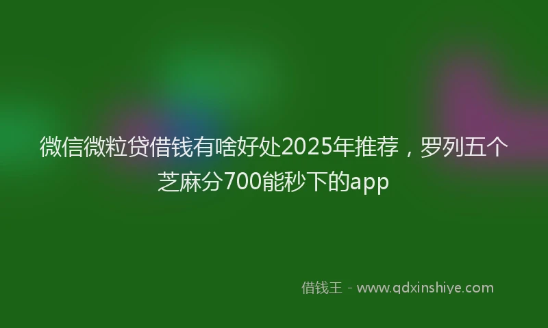 微信微粒贷借钱有啥好处2025年推荐，罗列五个芝麻分700能秒下的app