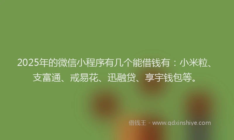 2025年的微信小程序有几个能借钱有：小米粒、支富通、戒易花、迅融贷、享宇钱包等。